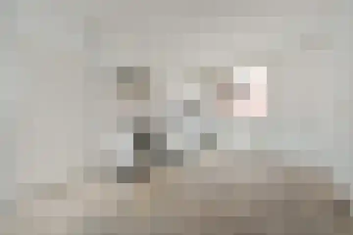 Zeeltsloot 89 Zoetermeer thumbnail 13