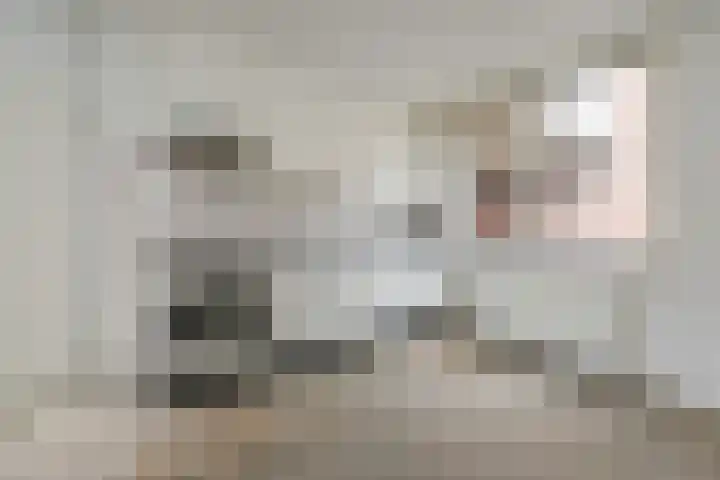 Zeeltsloot 89 Zoetermeer thumbnail 14