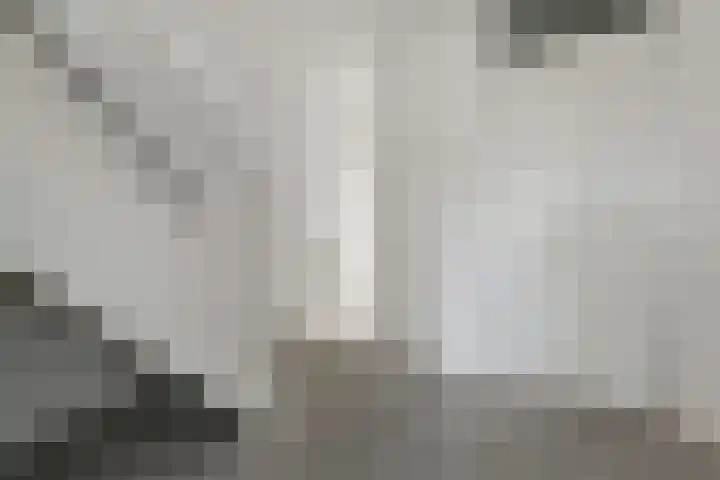 Zeeltsloot 89 Zoetermeer thumbnail 16