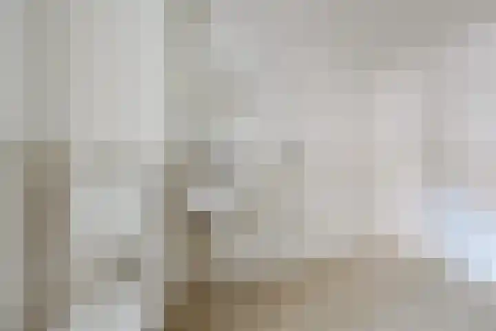 Zeeltsloot 89 Zoetermeer thumbnail 20