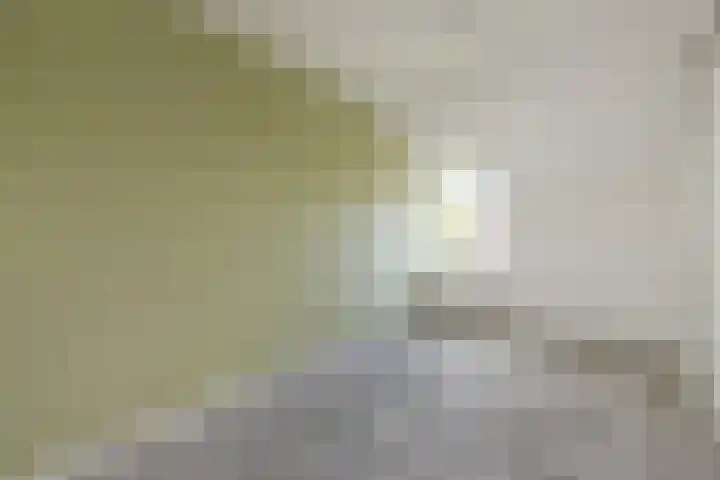 Zeeltsloot 89 Zoetermeer thumbnail 25