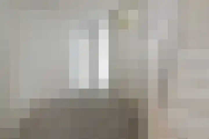 Zeeltsloot 89 Zoetermeer thumbnail 27
