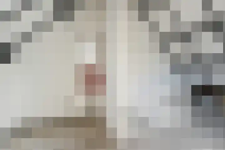 Zeeltsloot 89 Zoetermeer thumbnail 28