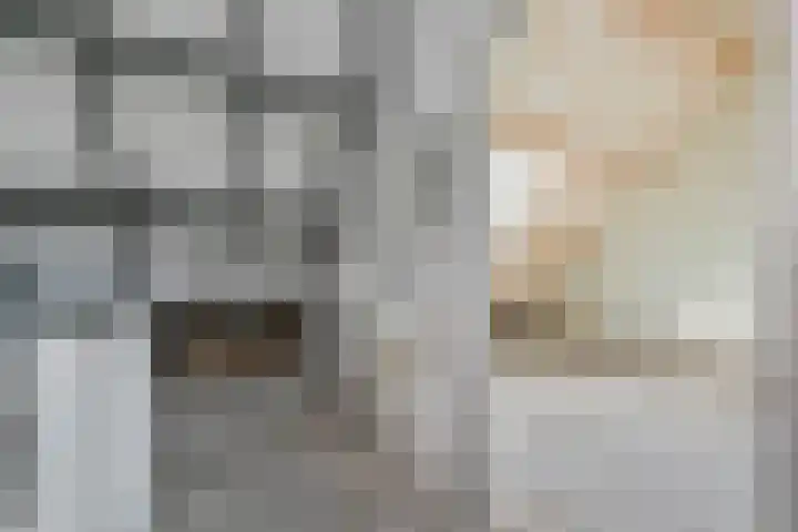 Zeeltsloot 89 Zoetermeer thumbnail 30