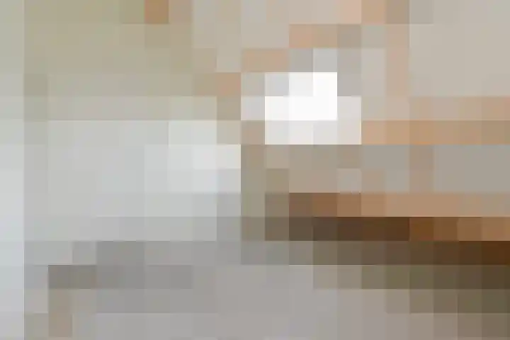 Zeeltsloot 89 Zoetermeer thumbnail 32