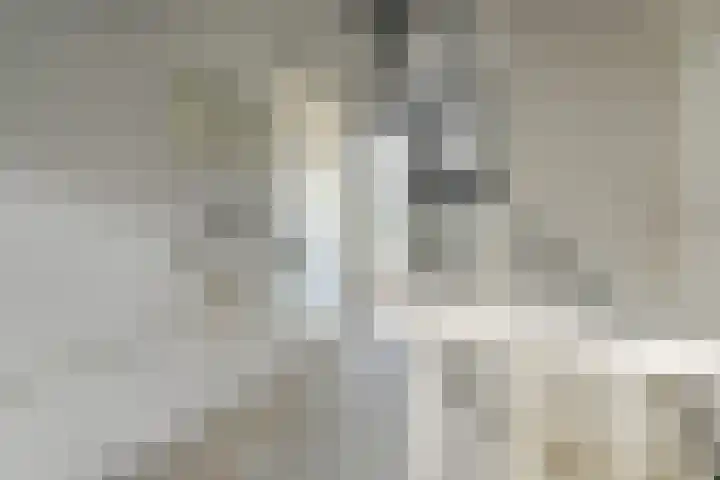 Zeeltsloot 89 Zoetermeer thumbnail 34