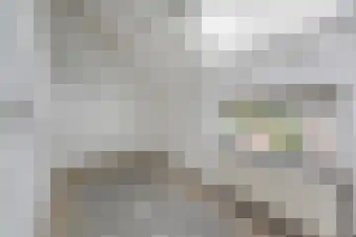 Zeeltsloot 89 Zoetermeer thumbnail 35