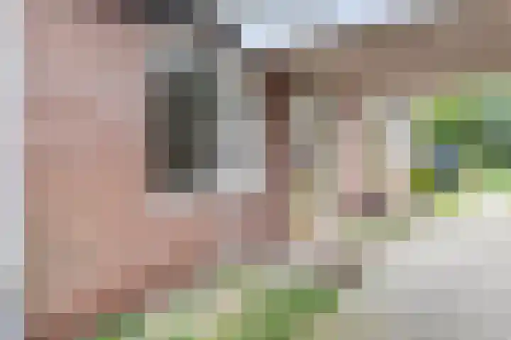 Zeeltsloot 89 Zoetermeer thumbnail 4