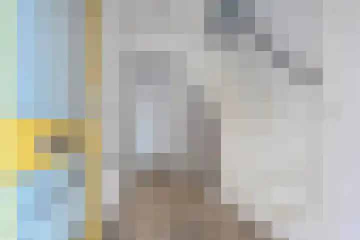Zeeltsloot 89 Zoetermeer thumbnail 7