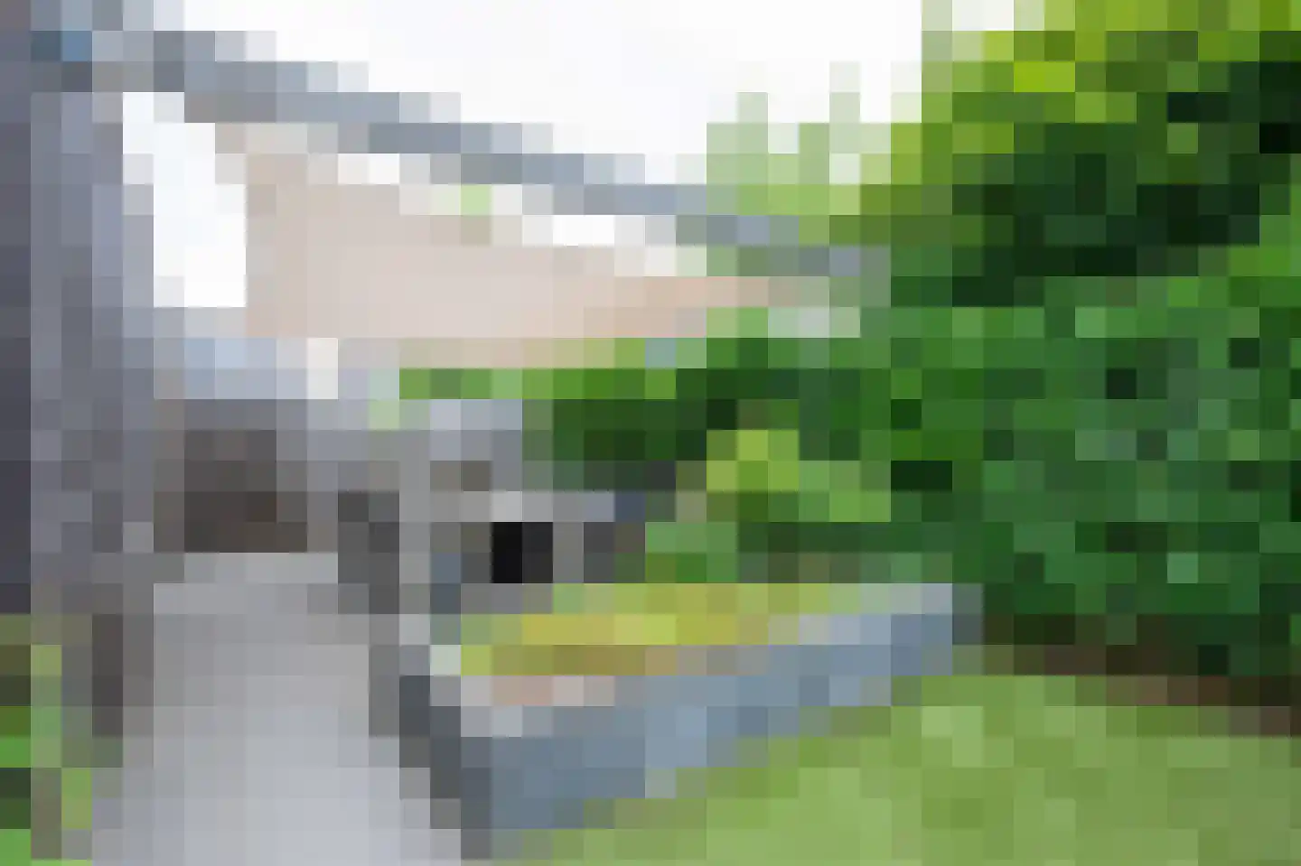 Zeeltstraat 19 Aalsmeer thumbnail 28