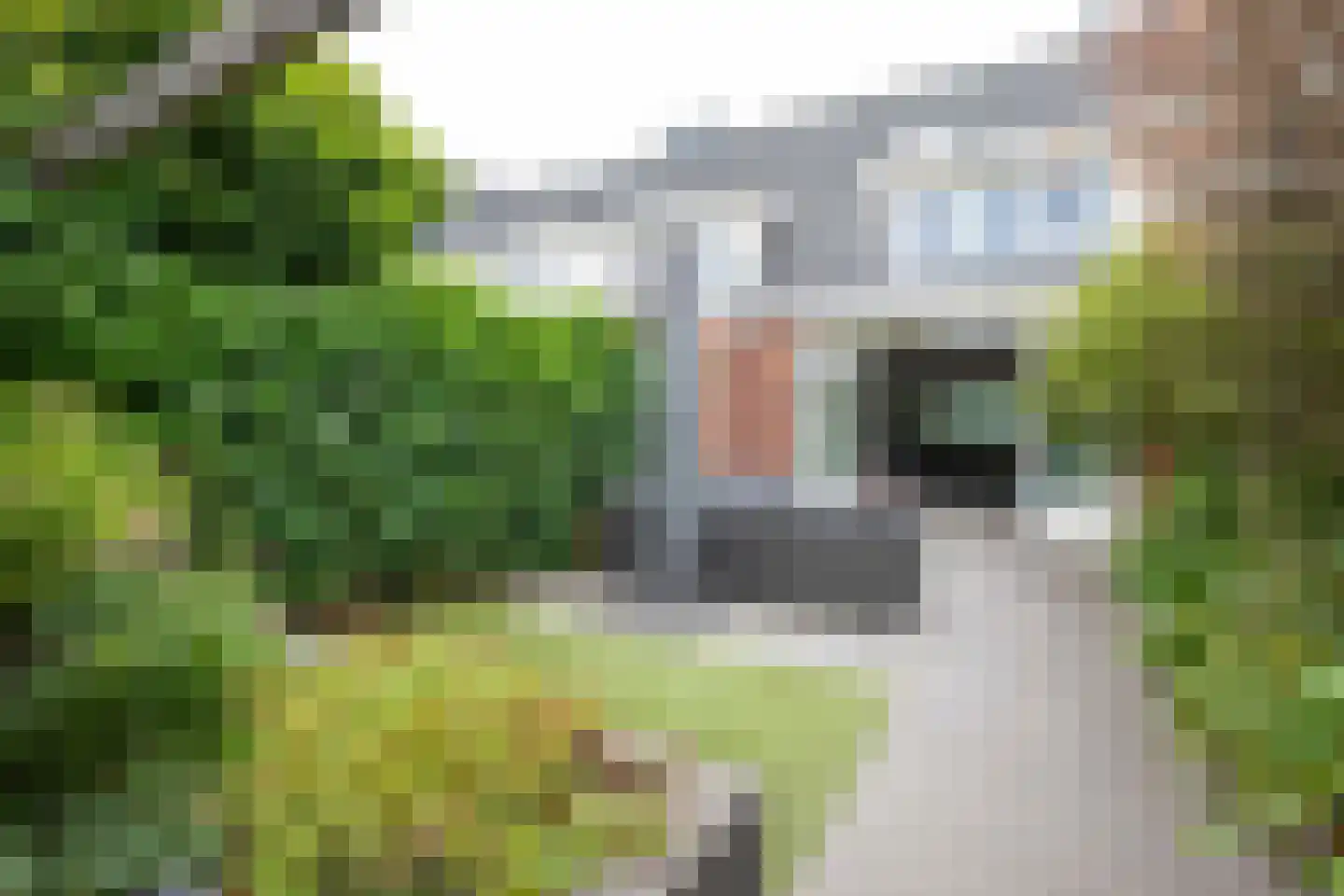 Zeeltstraat 19 Aalsmeer thumbnail 30