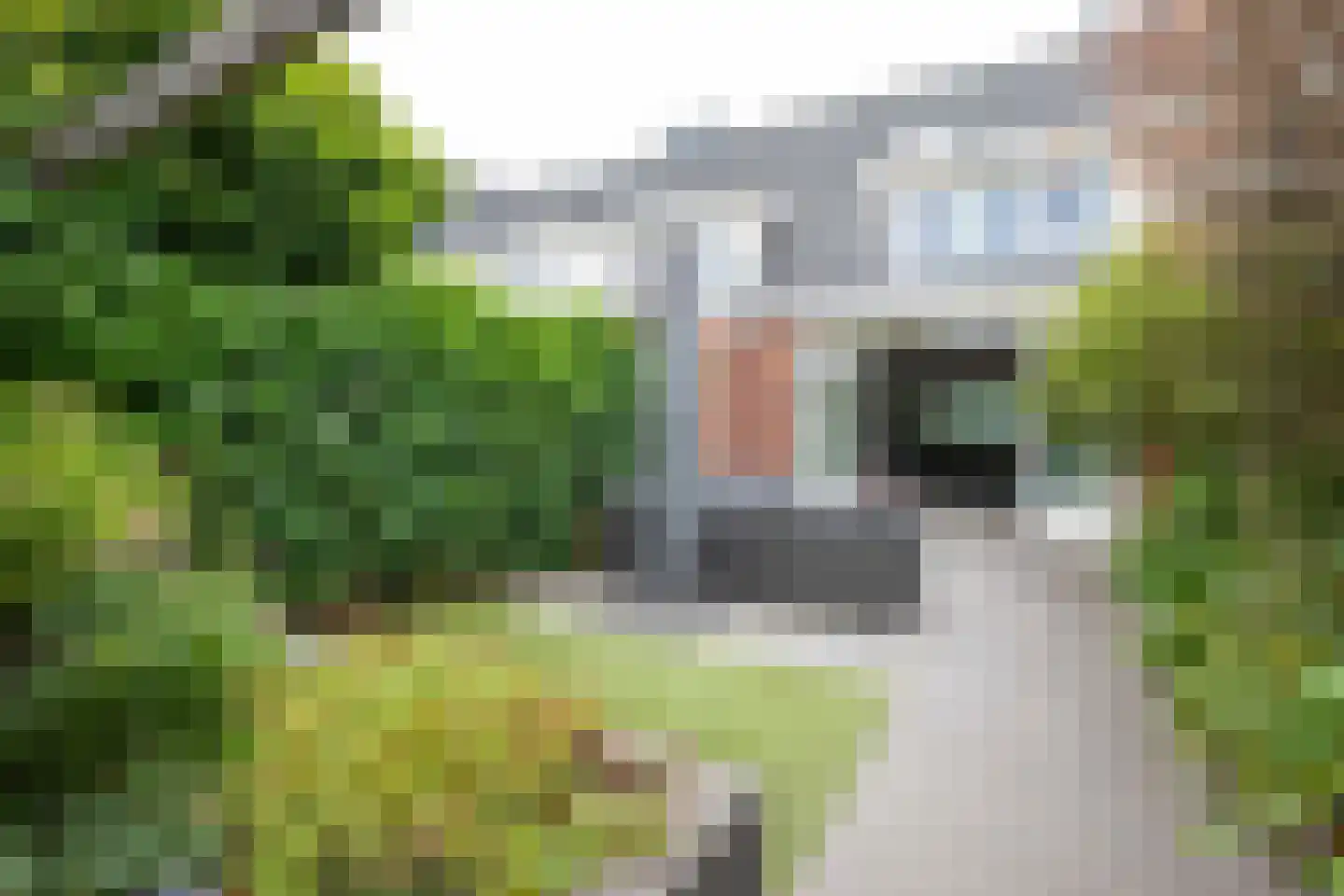 Zeeltstraat 19 Aalsmeer thumbnail 32