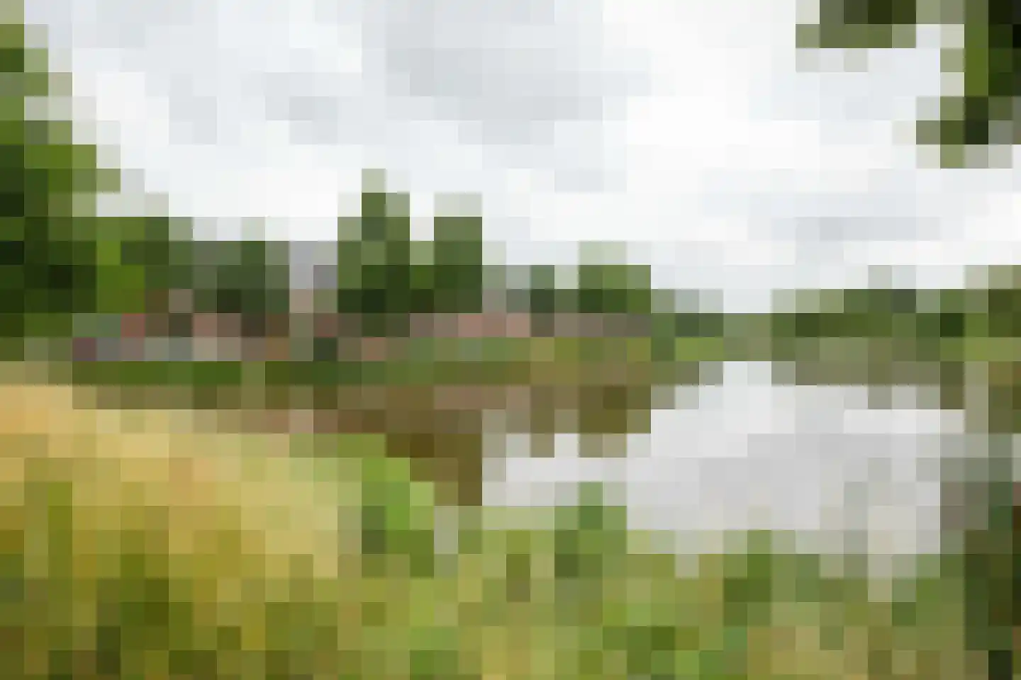 Zeeltstraat 19 Aalsmeer thumbnail 32