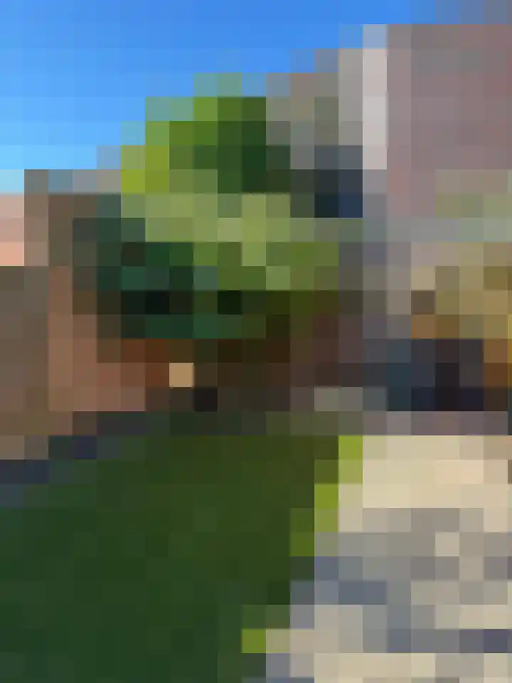 Zeeltstraat 2 Hengelo thumbnail 26