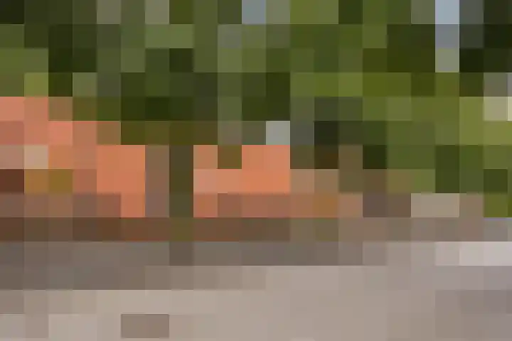 Zeeltstraat 2 Hengelo thumbnail 28