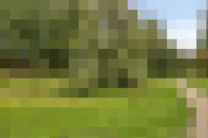Zeeltstraat 2 Hengelo thumbnail 31