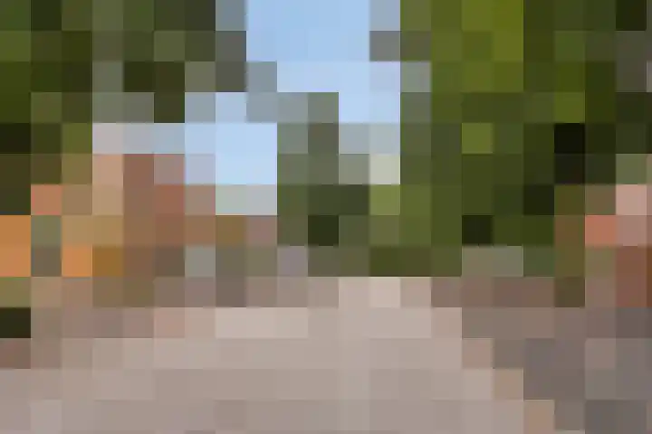 Zeeltstraat 2 Hengelo thumbnail 34