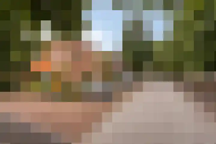 Zeeltstraat 2 Hengelo thumbnail 35