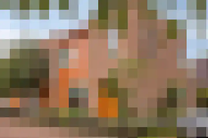 Zeeltstraat 2 Hengelo thumbnail 4