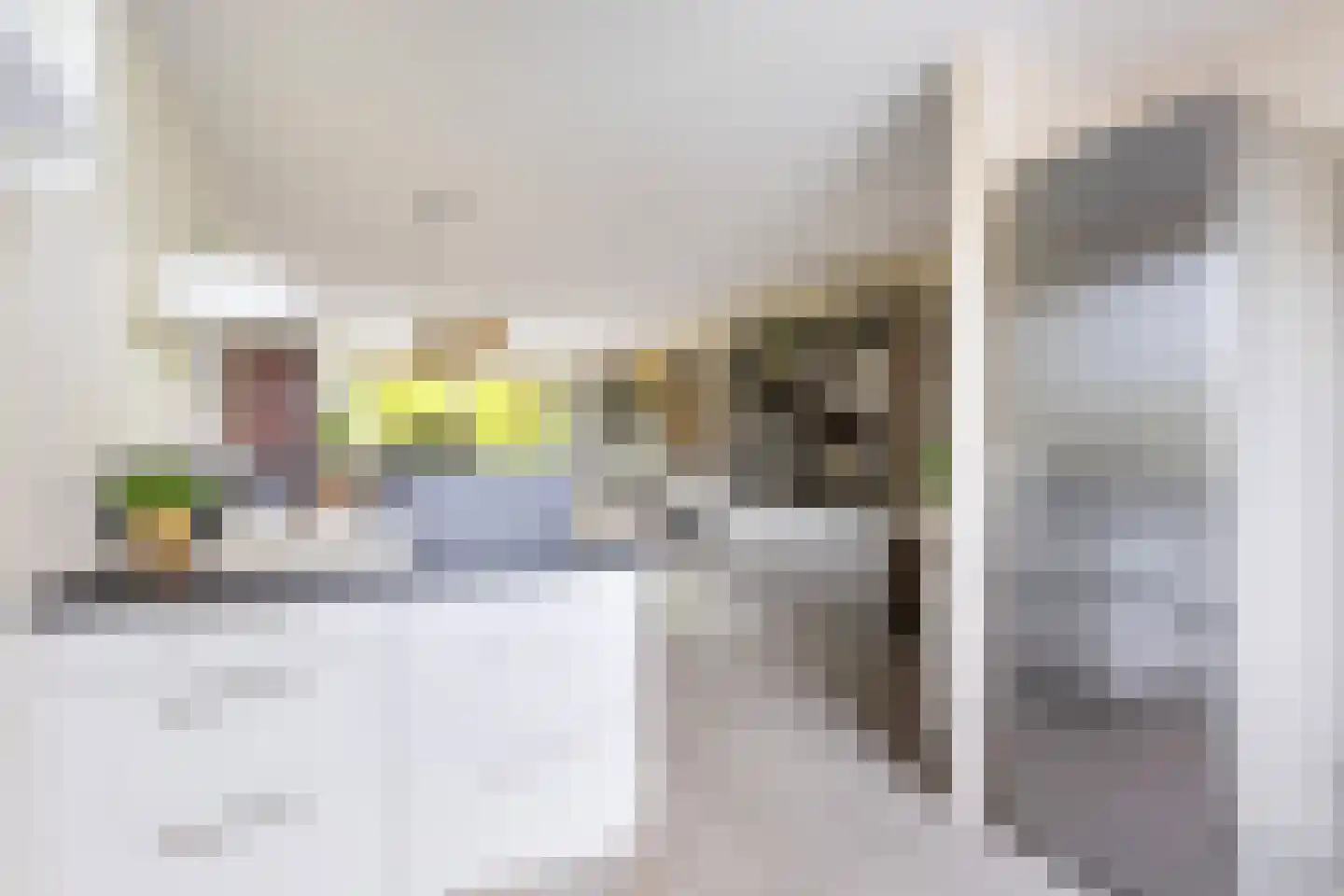 Zeeltstraat 31 Utrecht thumbnail 15