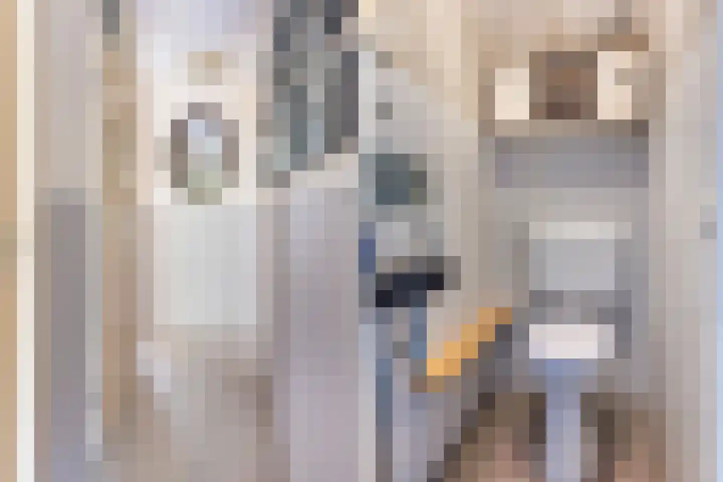 Zeeltstraat 31 Utrecht thumbnail 17