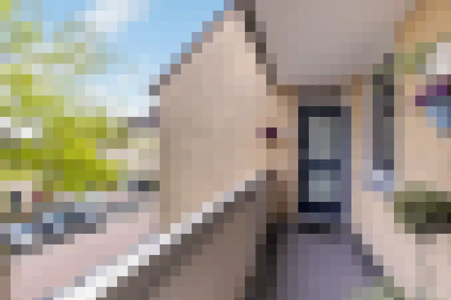 Zeeltstraat 31 Utrecht thumbnail 22