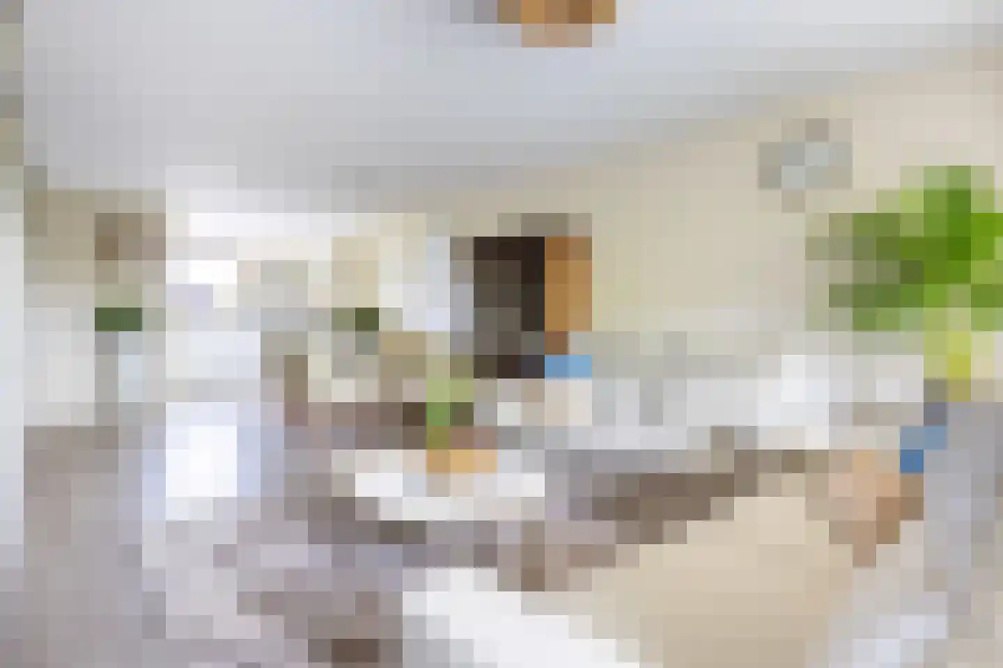 Zeeltstraat 31 Utrecht thumbnail 8