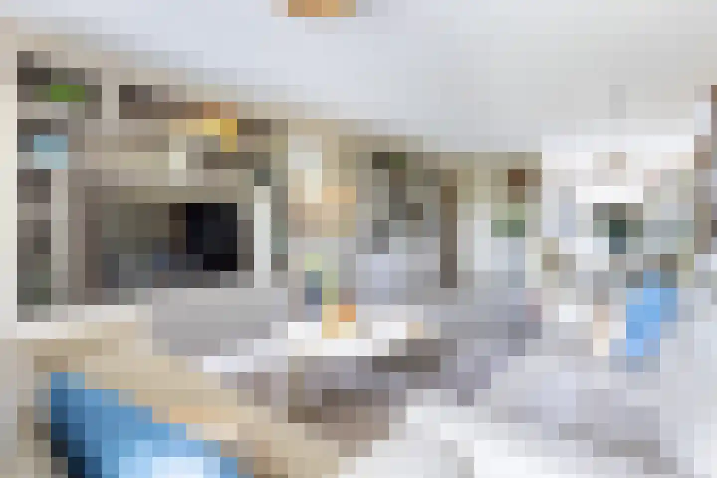 Zeeltstraat 31 Utrecht thumbnail 9