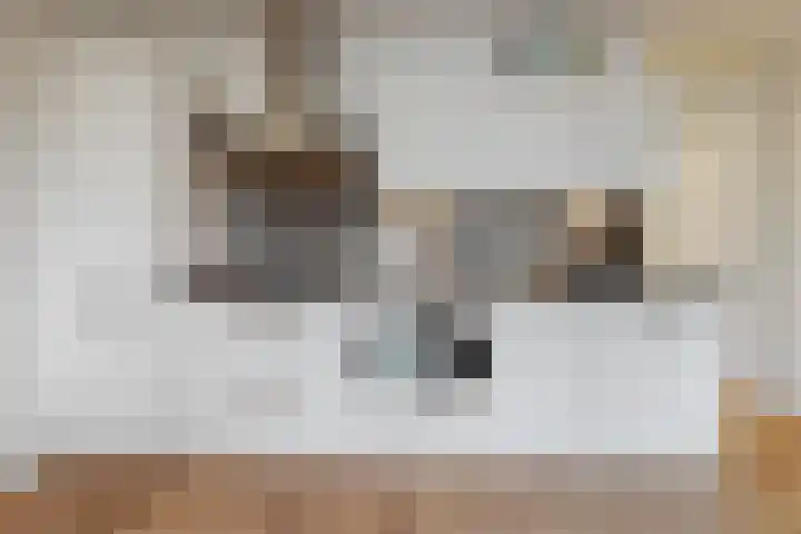Zeeltstraat 77 Aalsmeer thumbnail 9