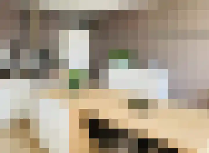 Zeeltstraat 87 Aalsmeer thumbnail 8
