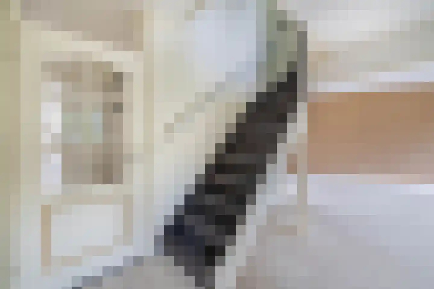 Zeemandreef 20 Maassluis thumbnail 17