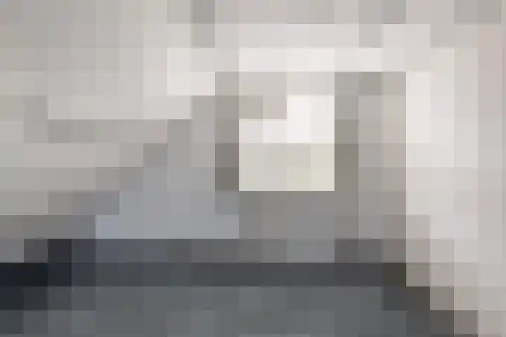 Zeemandreef 3 Maassluis thumbnail 27