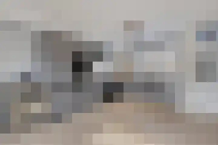 Zeemandreef 57 Maassluis thumbnail 14