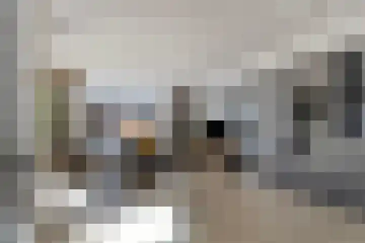 Zeemandreef 57 Maassluis thumbnail 9