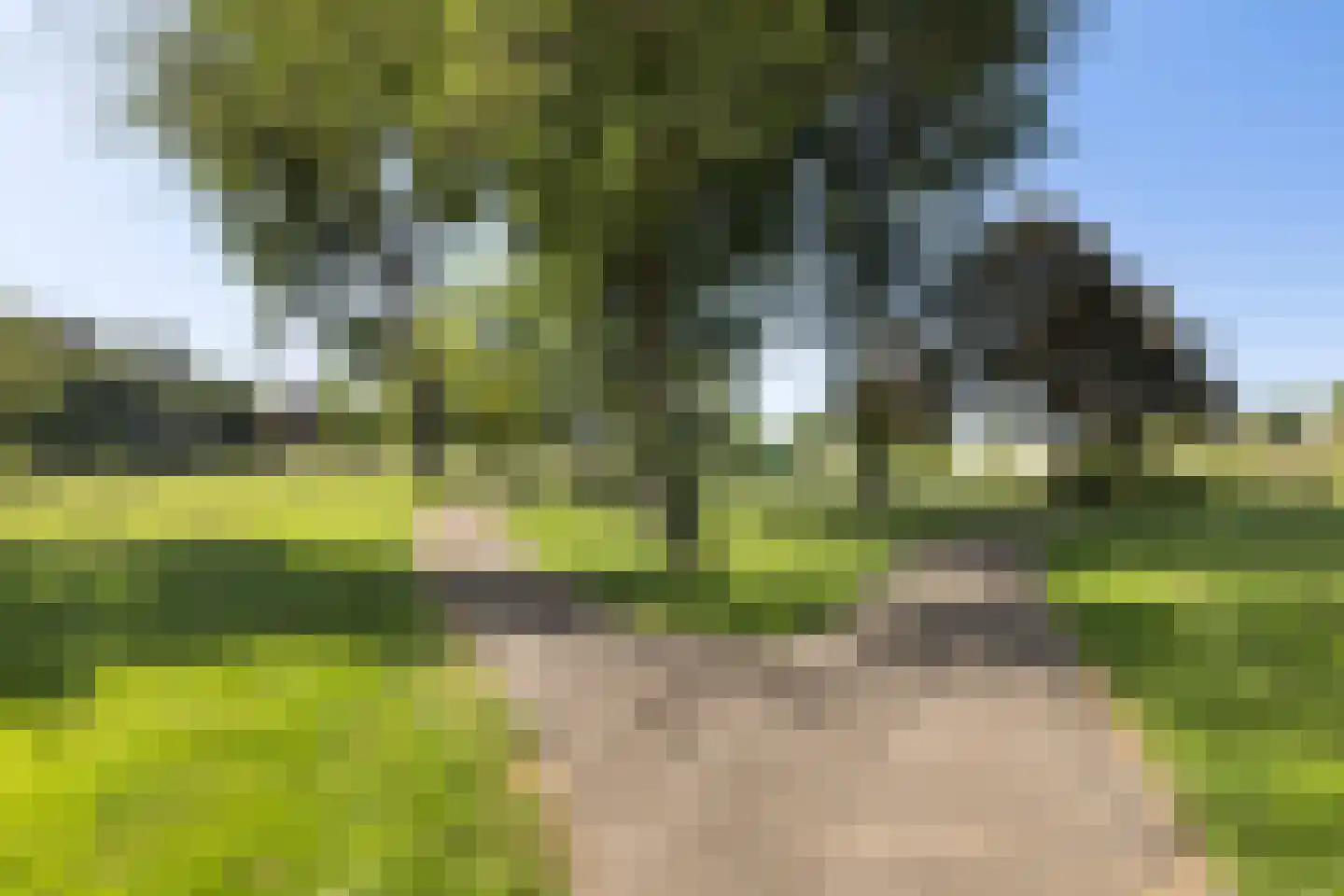 Zeemandreef 65 Maassluis thumbnail 30