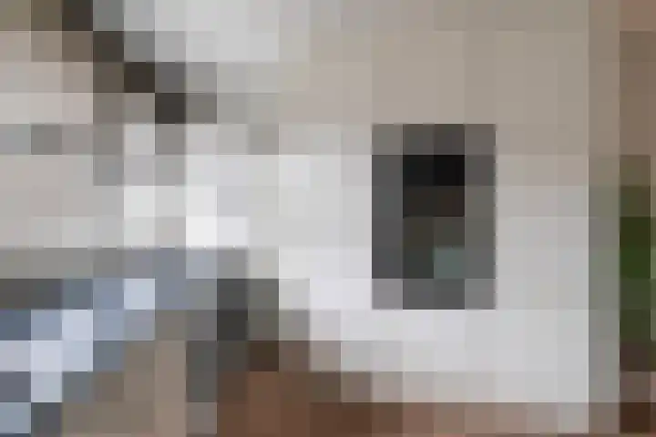 Zeemandreef 69 Maassluis thumbnail 10