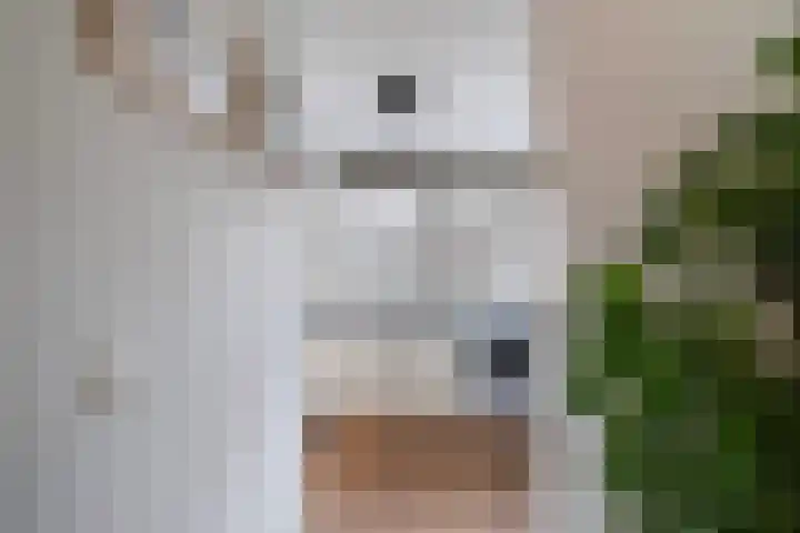 Zeemandreef 69 Maassluis thumbnail 11