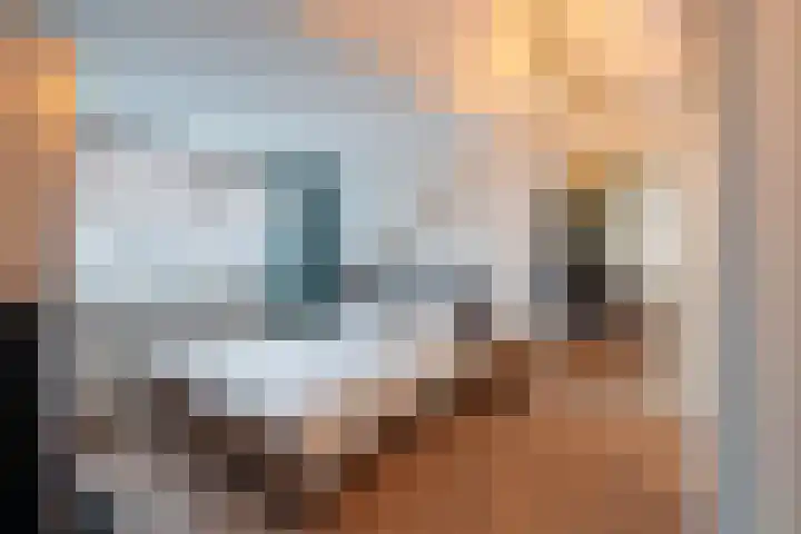 Zeemandreef 69 Maassluis thumbnail 17