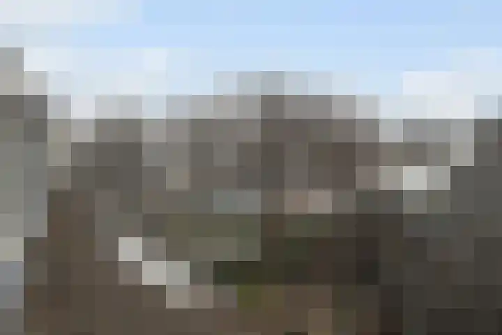 Zeemandreef 69 Maassluis thumbnail 28