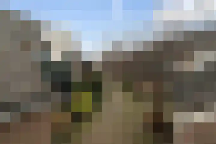 Zeemandreef 69 Maassluis thumbnail 29