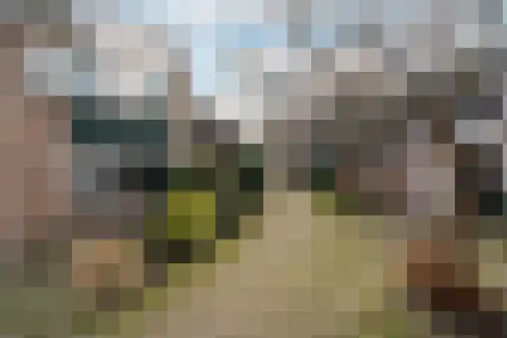 Zeemandreef 69 Maassluis thumbnail 31