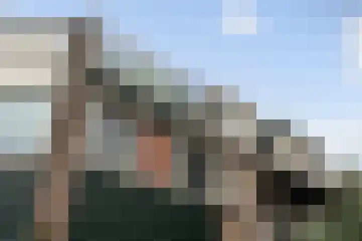 Zeemandreef 69 Maassluis thumbnail 33