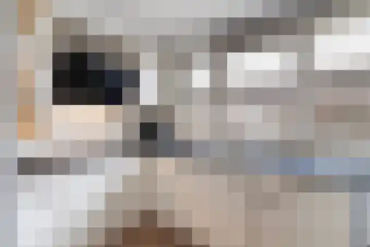 Zeemandreef 69 Maassluis thumbnail 6