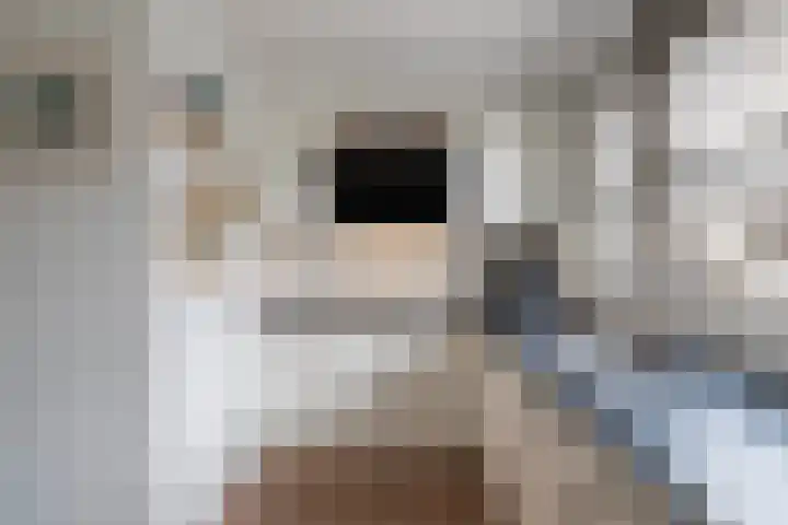 Zeemandreef 69 Maassluis thumbnail 9