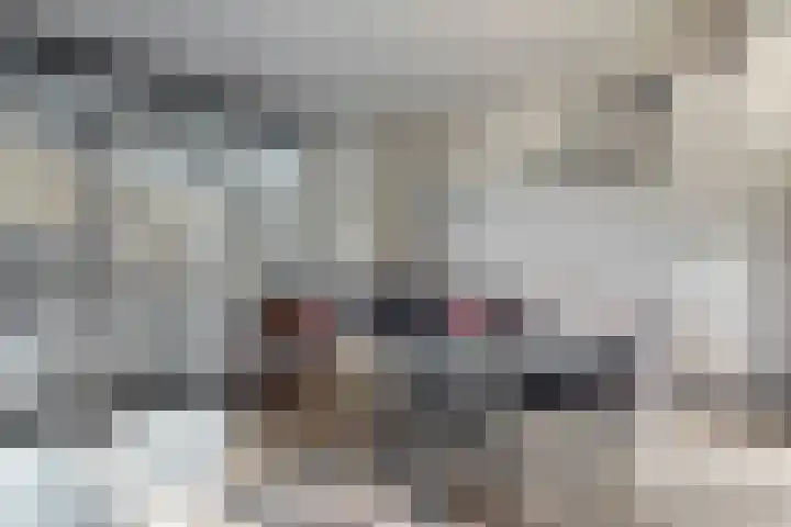 Zeemandreef 83 Maassluis thumbnail 13