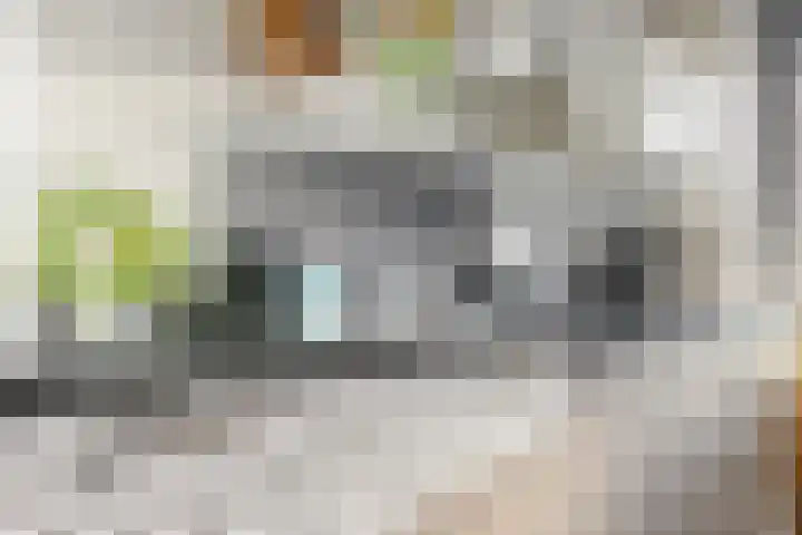 Zeemandreef 83 Maassluis thumbnail 18
