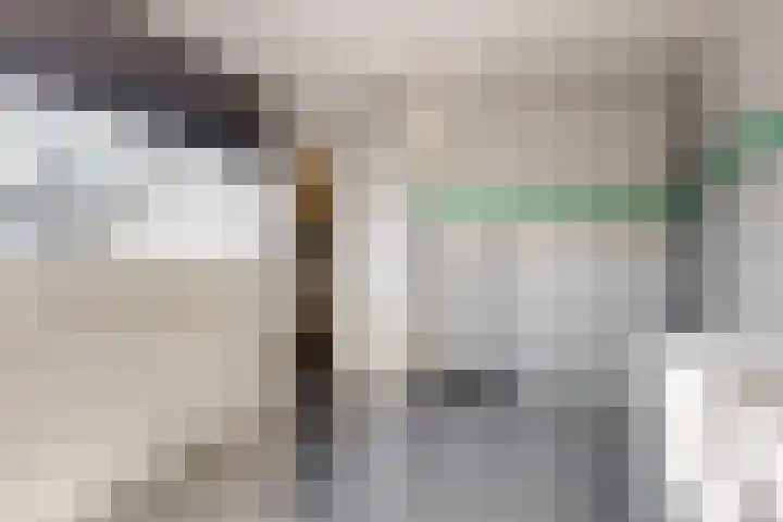 Zeemandreef 83 Maassluis thumbnail 25