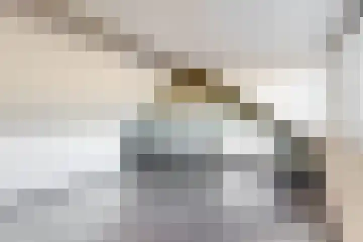 Zeemandreef 83 Maassluis thumbnail 31