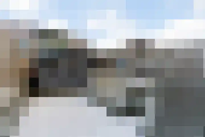 Zeemandreef 83 Maassluis thumbnail 34