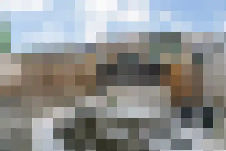 Zeemandreef 83 Maassluis thumbnail 35